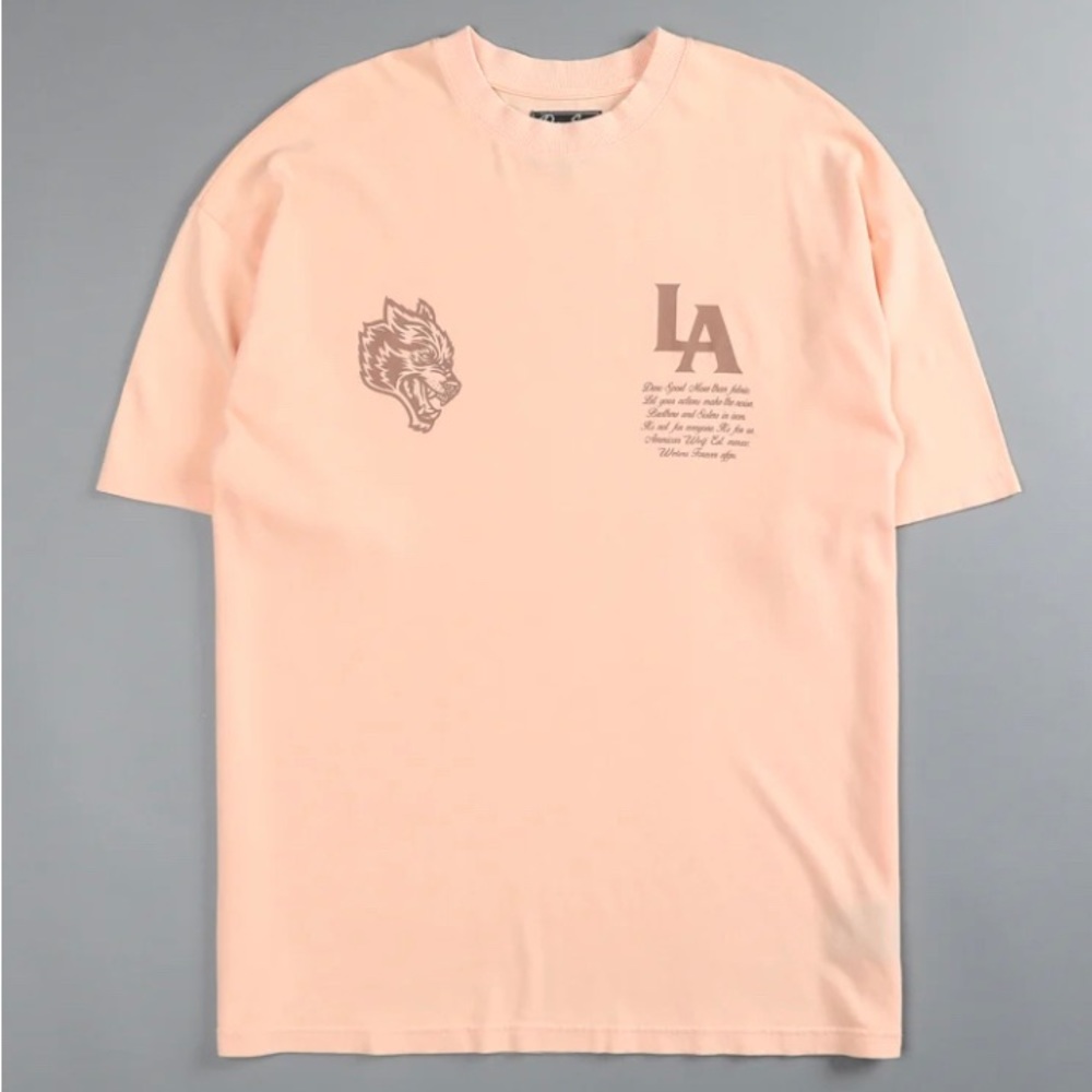 DARC SPORT LA STAND UP "PREMIUM VINTAGE" OVERSIZED TEE IN MUTED NEON CORAL